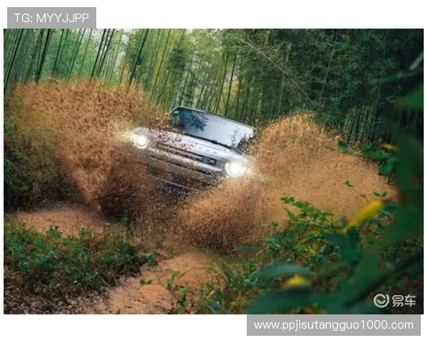 保时捷PG官网入口官方地址及常见登录问题解决方案